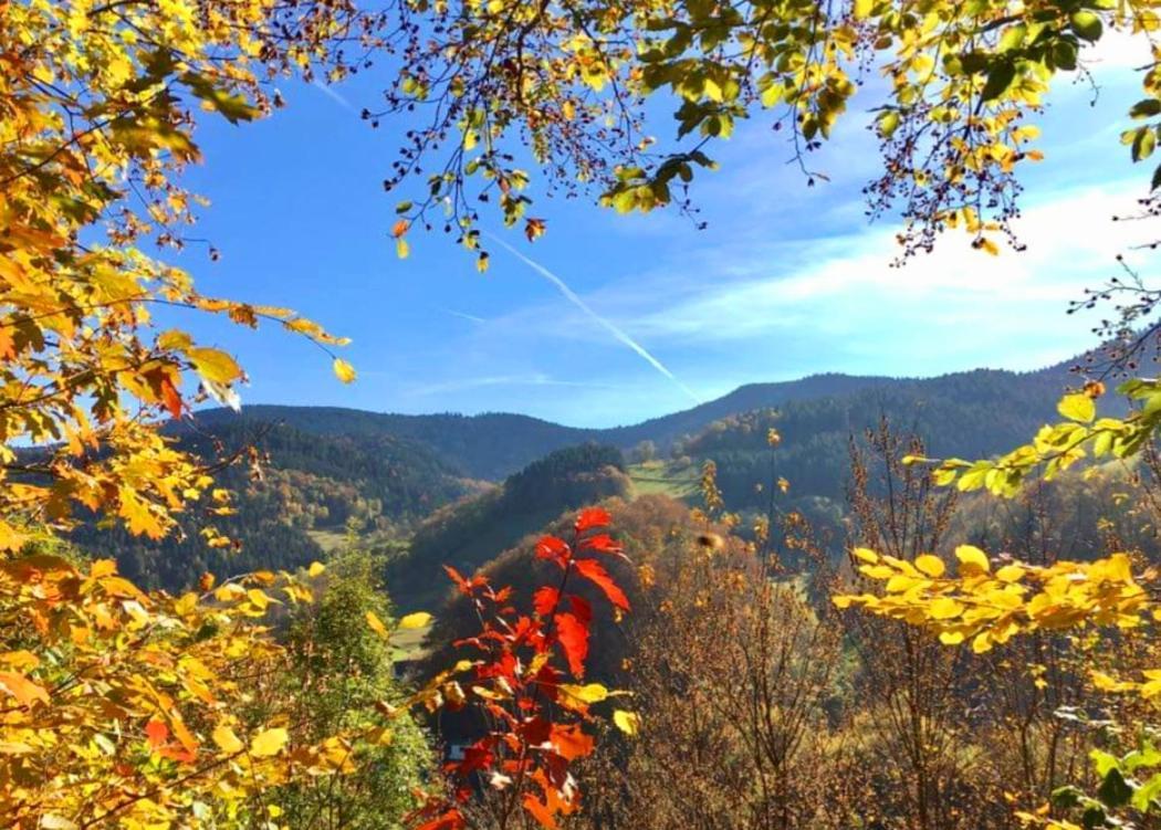 Gaestehaus Haaser Hotel Bad Peterstal-Griesbach Bagian luar foto