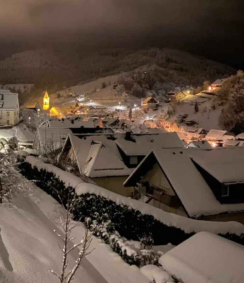 Gaestehaus Haaser Hotel Bad Peterstal-Griesbach Bagian luar foto