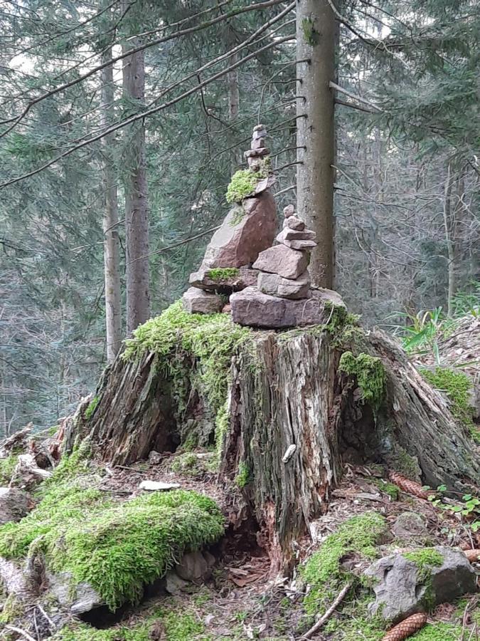 Gaestehaus Haaser Hotel Bad Peterstal-Griesbach Bagian luar foto