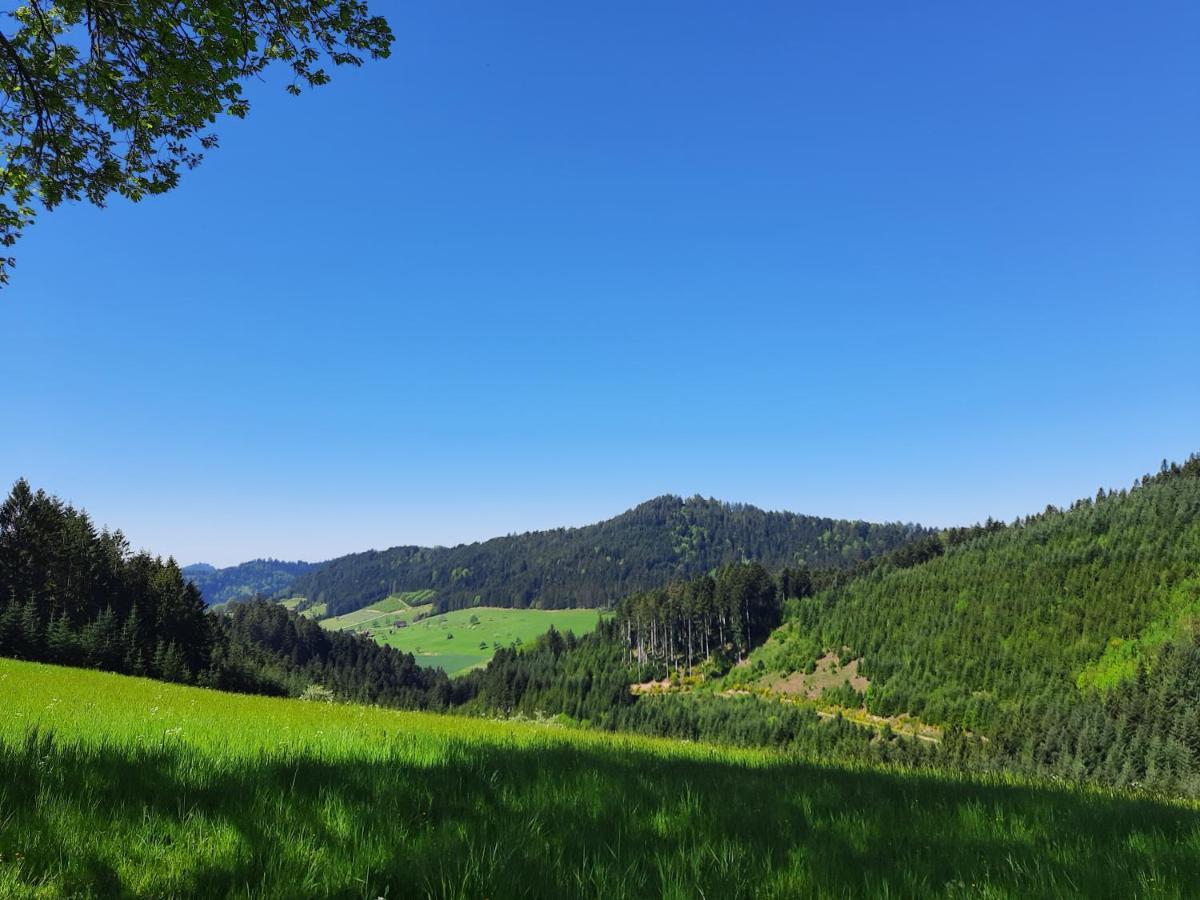 Gaestehaus Haaser Hotel Bad Peterstal-Griesbach Bagian luar foto