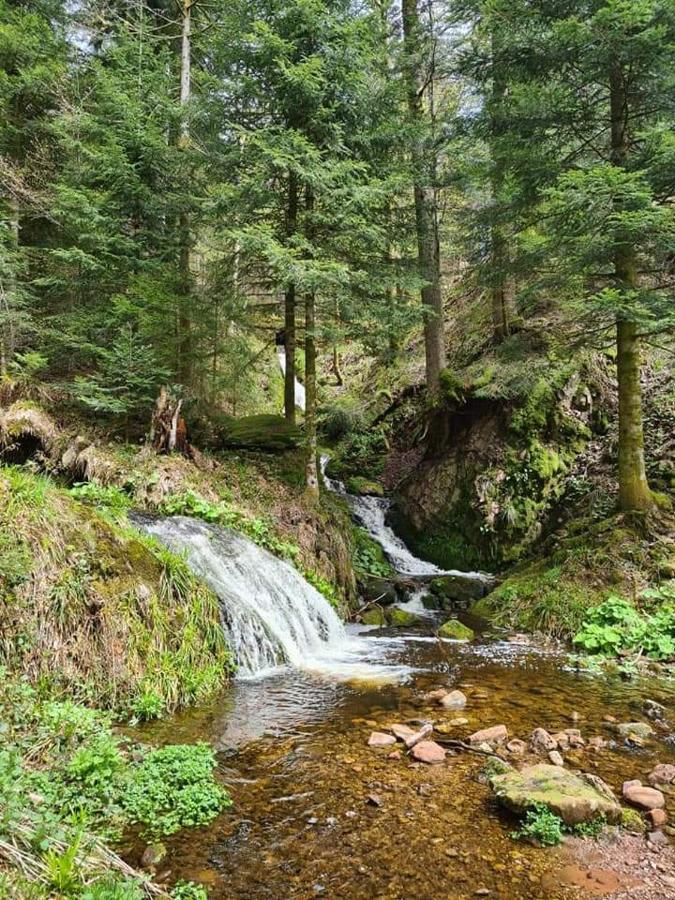 Gaestehaus Haaser Hotel Bad Peterstal-Griesbach Bagian luar foto