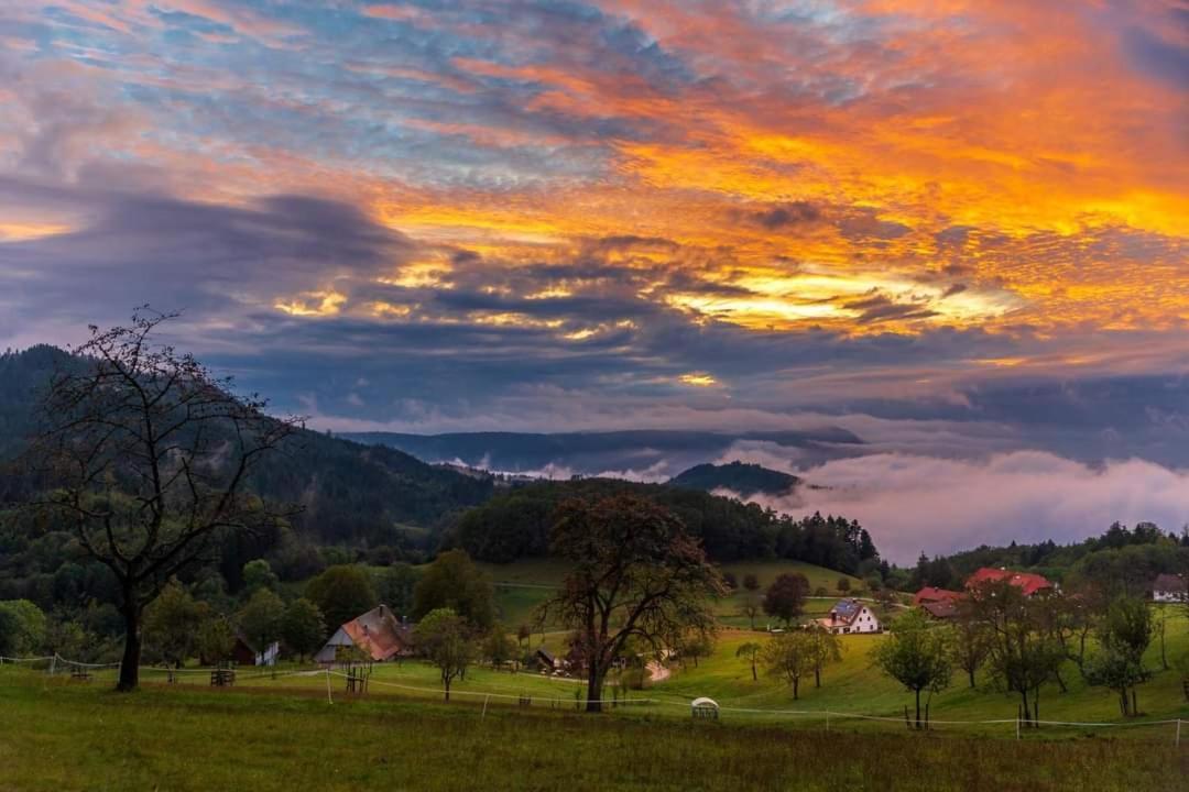 Gaestehaus Haaser Hotel Bad Peterstal-Griesbach Bagian luar foto