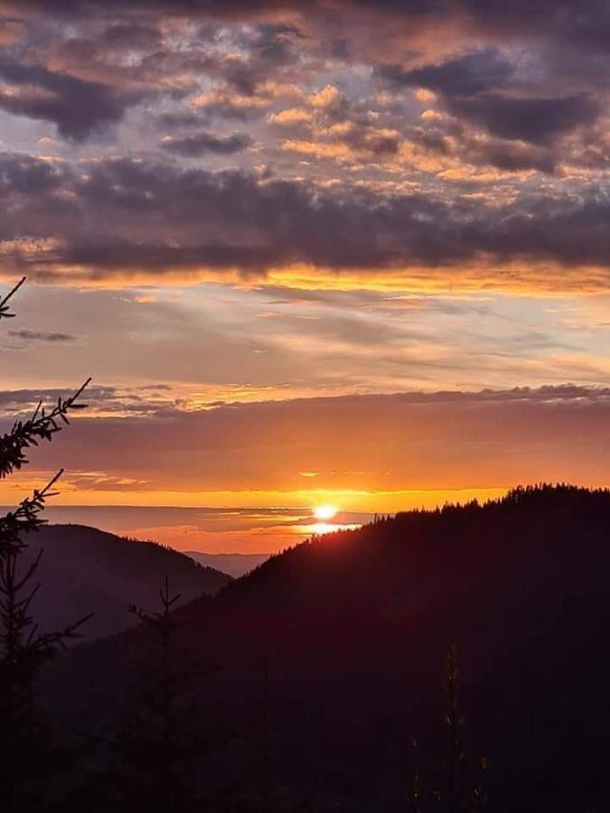 Gaestehaus Haaser Hotel Bad Peterstal-Griesbach Bagian luar foto