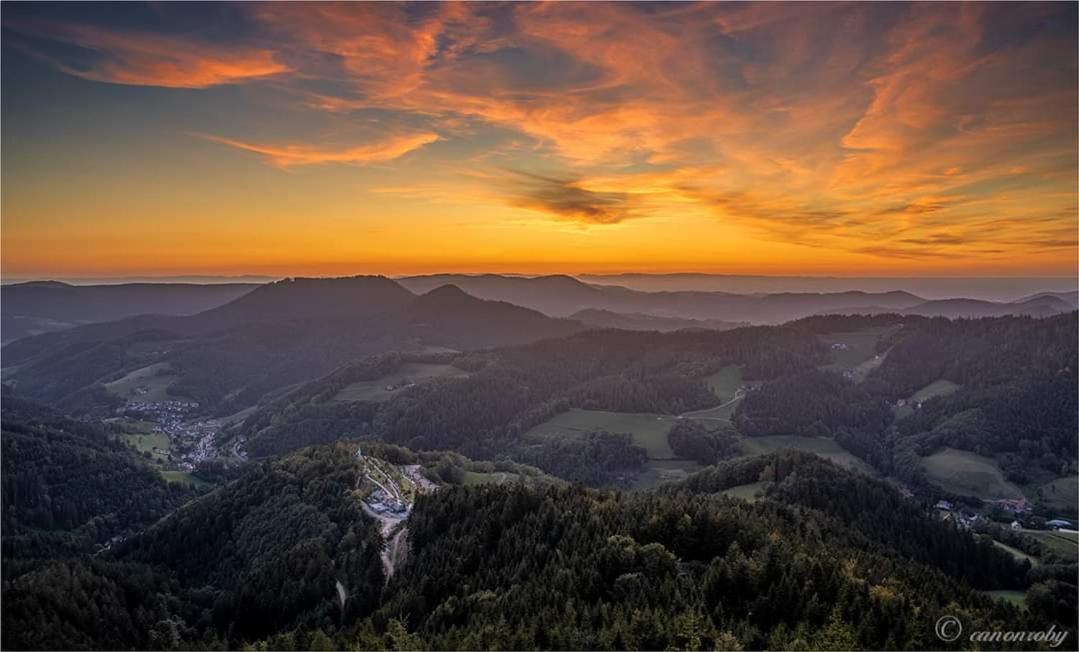 Gaestehaus Haaser Hotel Bad Peterstal-Griesbach Bagian luar foto